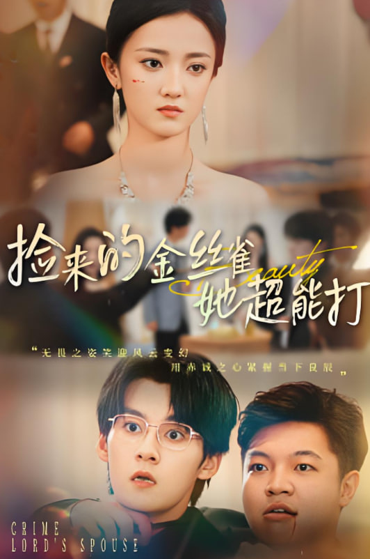捡来的金丝雀她超能打（和小娇夫领证后夫人她不装了） - 第65集完结_人物塑造_亦辰电视剧-影评网